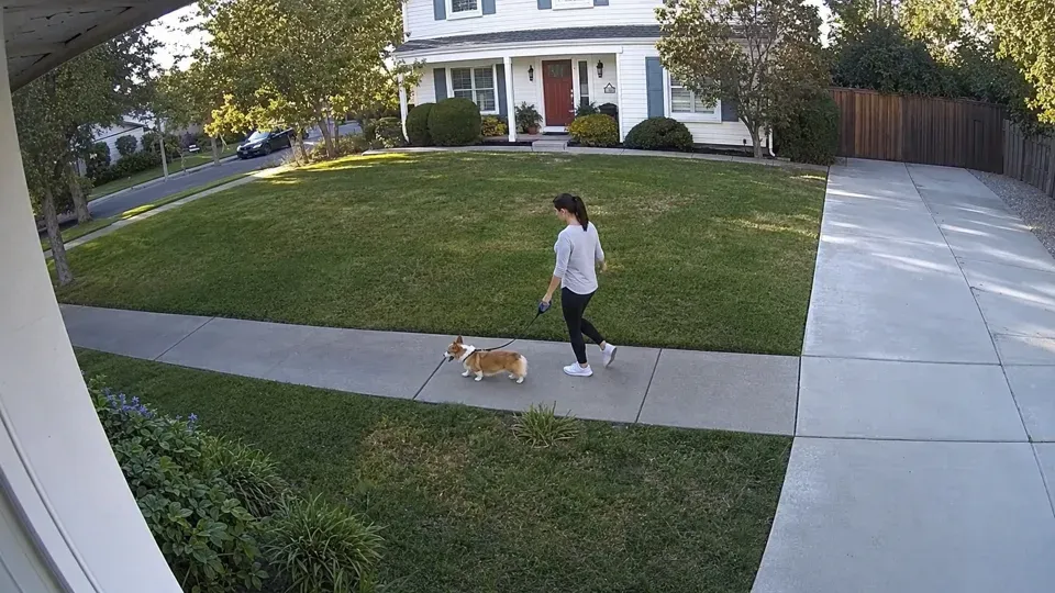 Surveillance camera frame of a woman walking her corgi on a sunny suburban street